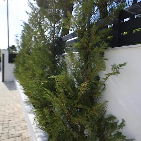S&s Apartamento *