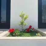 Apartment S&s Vlore