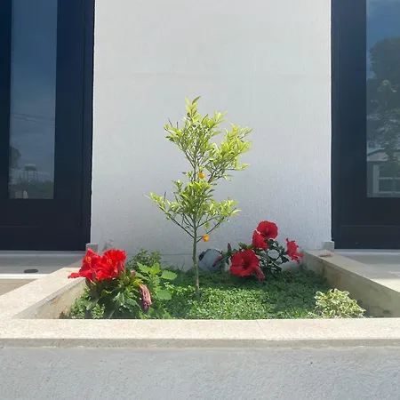 Appartement S&s Vlorë