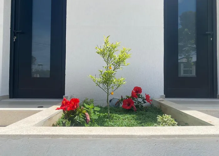 Apartmán S&s Vlorë